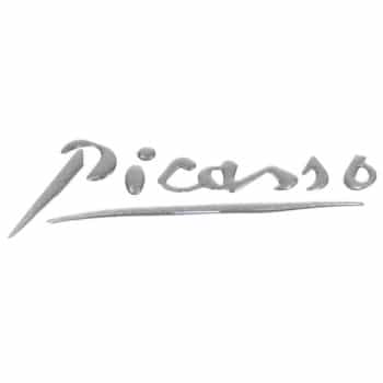 Citroën Picasso Badge