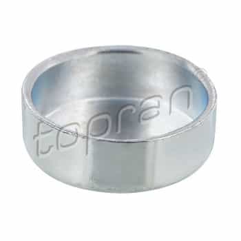Frost Plug