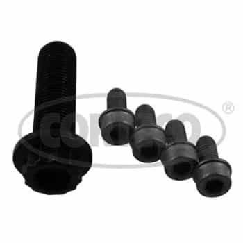 Bolt Set, crankshaft pulley
