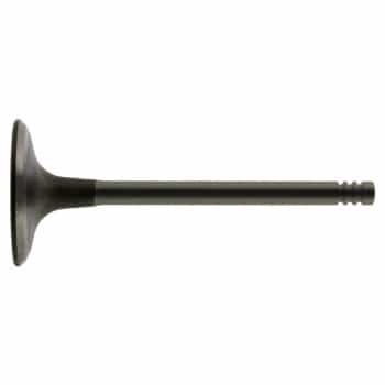 Inlet Valve