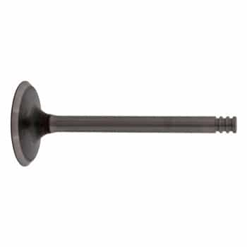 Inlet Valve