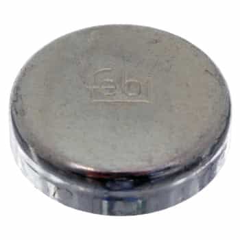 Frost Plug