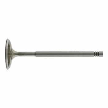 Inlet Valve