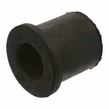 Bush, leaf spring