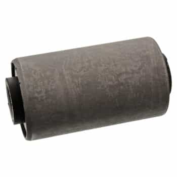 Bush, leaf spring