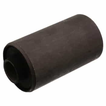 Bush, leaf spring