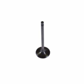 Inlet Valve