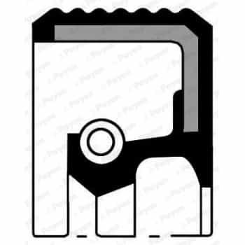Shaft Seal, differential NA5205 Payen