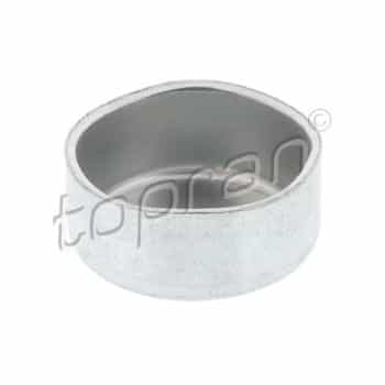 Frost Plug