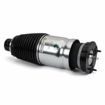 Pneumatic strut