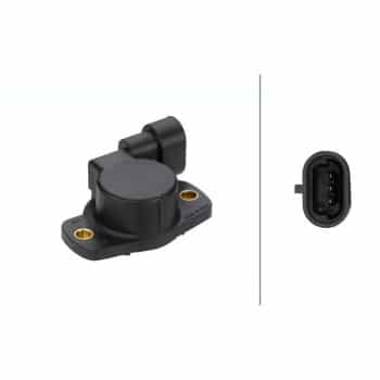 Sensor, throttle position