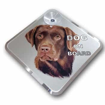 Car Tattoo Sticker Labrador on board - 11.5x11.5cm