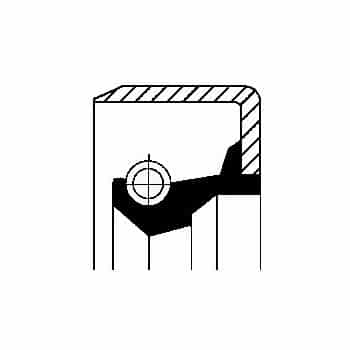 Oil seal, gear