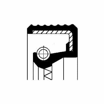 Oil seal, distribution differential