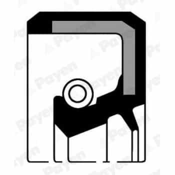 Shaft Seal, camshaft NJ254 Payen