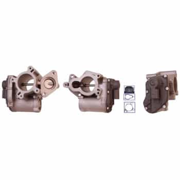 EGR valve 717730070 DRI