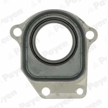Shaft Seal, intermediate shaft NC044 Payen