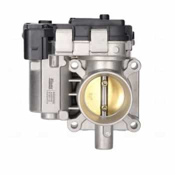 Throttle body