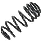 Coil spring & leaf springs