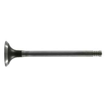Inlet Valve