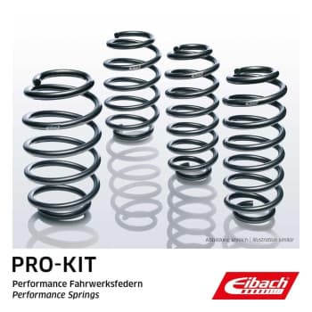 Lowering springs