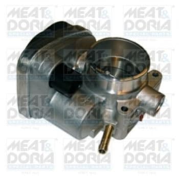 Throttle body