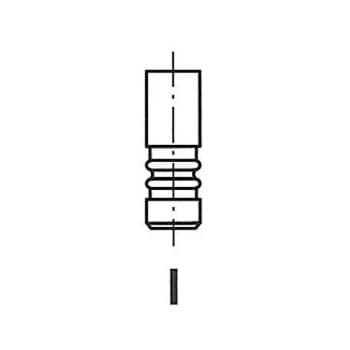 Intake valve