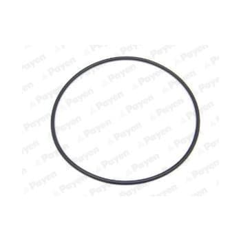 Gasket, cylinder liner LA5236 Payen