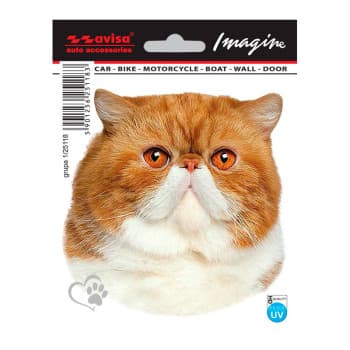 Car Tattoo Sticker Persian - 11x11cm