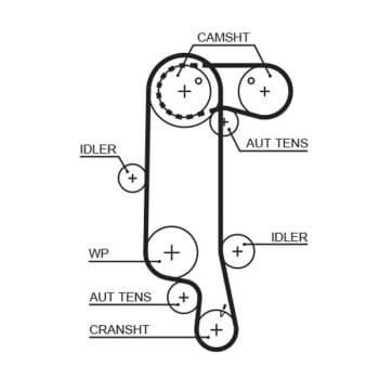 Timing Belt PowerGrip® 5565XS Gates