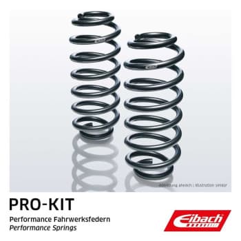Chassis, springs