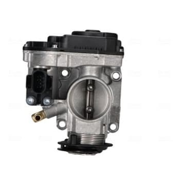 Throttle body