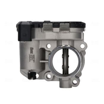 Throttle body